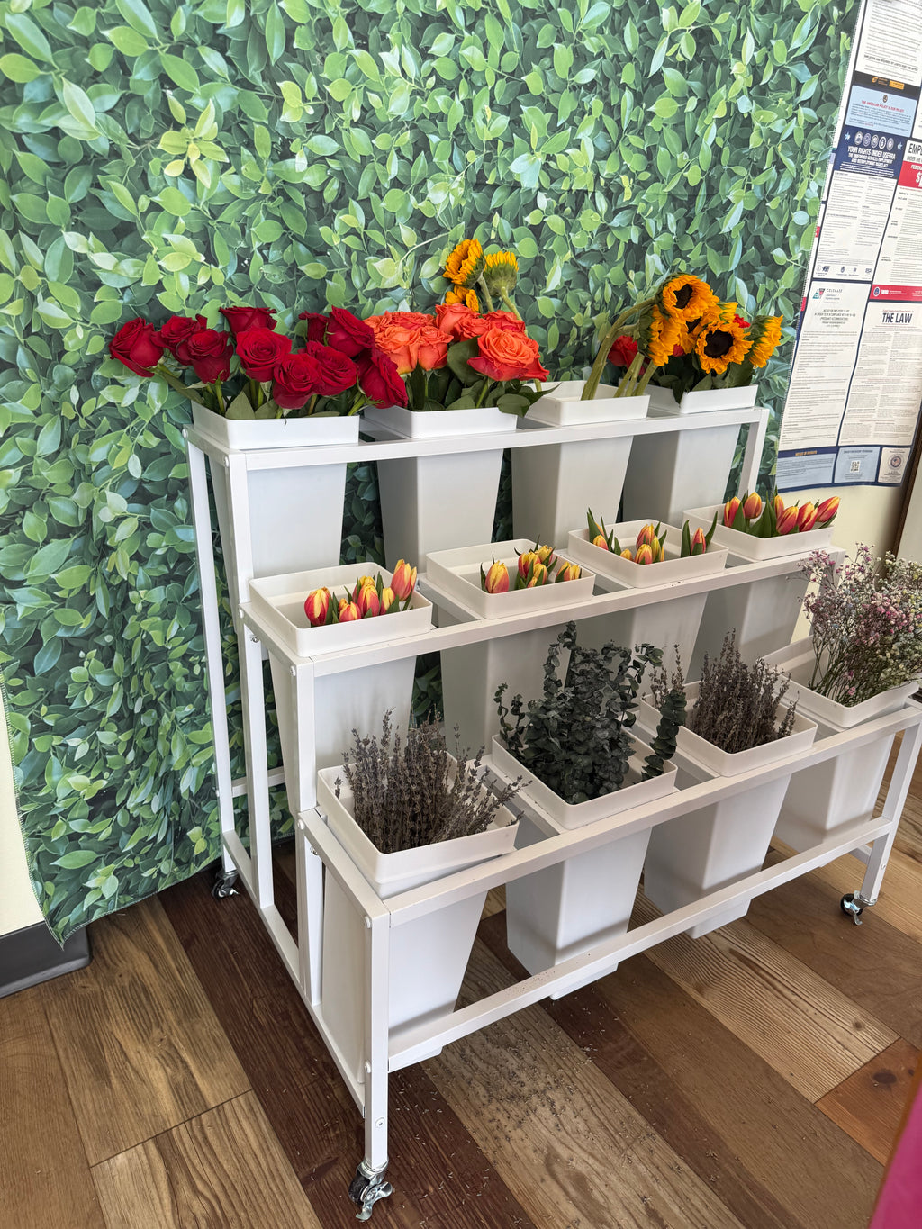 Bloom Bar Rentals