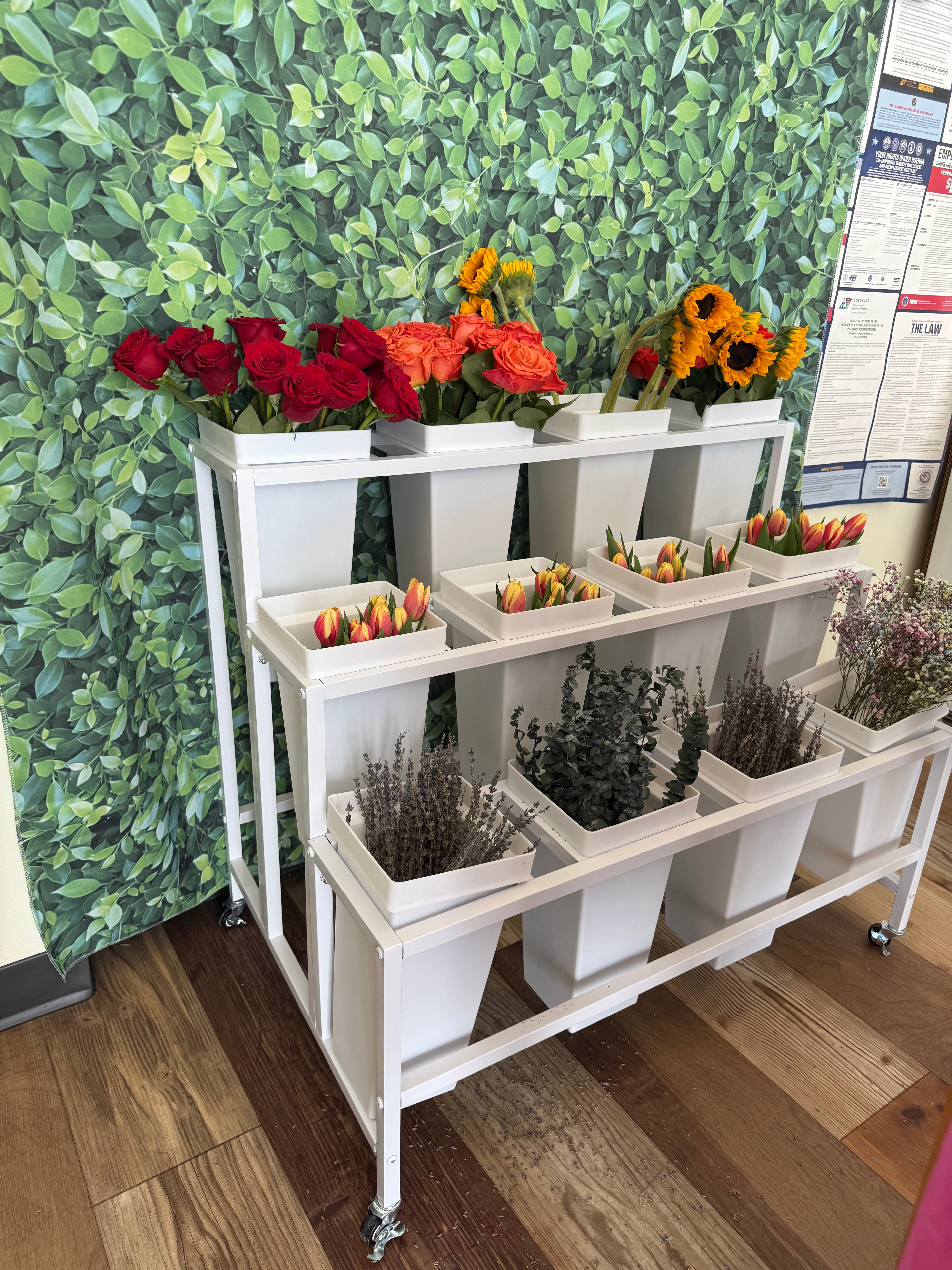 Bloom Bar Rentals