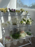Bloom Bar Rentals