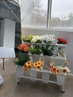 Bloom Bar Rentals