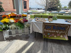 Bloom Bar Rentals