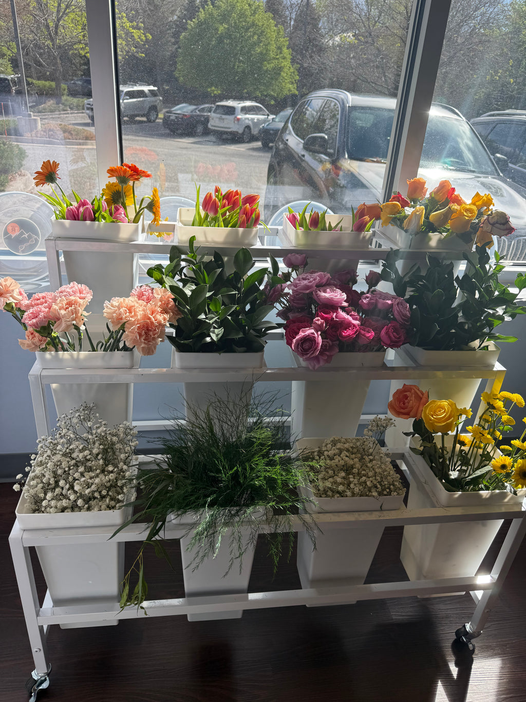 Bloom Bar Rentals