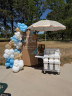 Arch Banner + Balloons